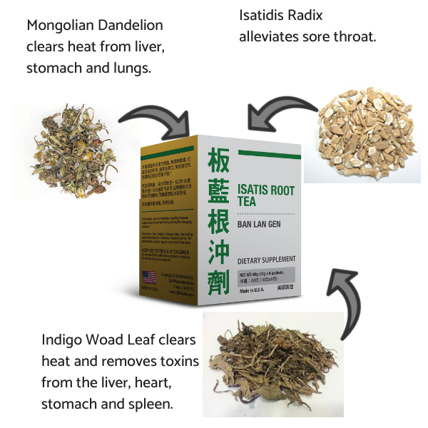 Isatis Root Tea (10g x 6 packets) 板藍根沖劑 (10克 x 6包) – Baiyo Herbs